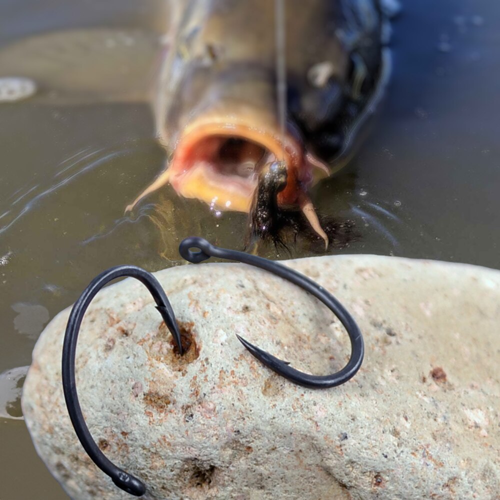 HIRISI-高炭素鋼含有量釣り針,50個,ボックス付き,8 - Fishing Hook Assortment のレビューと価格